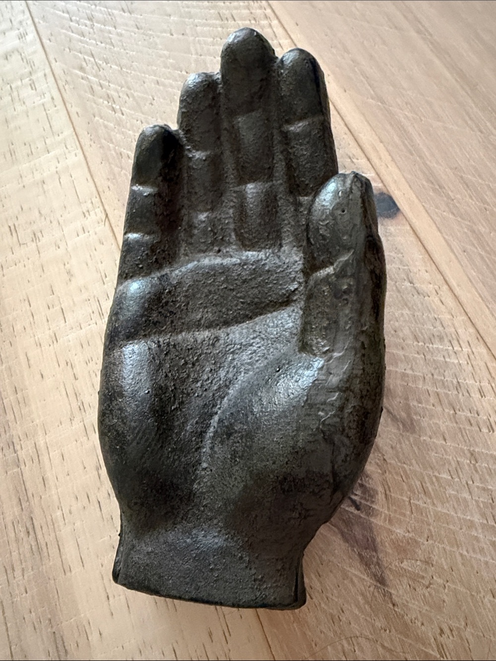 Decorative Cast Iron Palm Trinket Dish - Black
